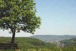 essingen002.jpg
